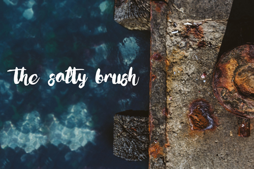 Salty Brush